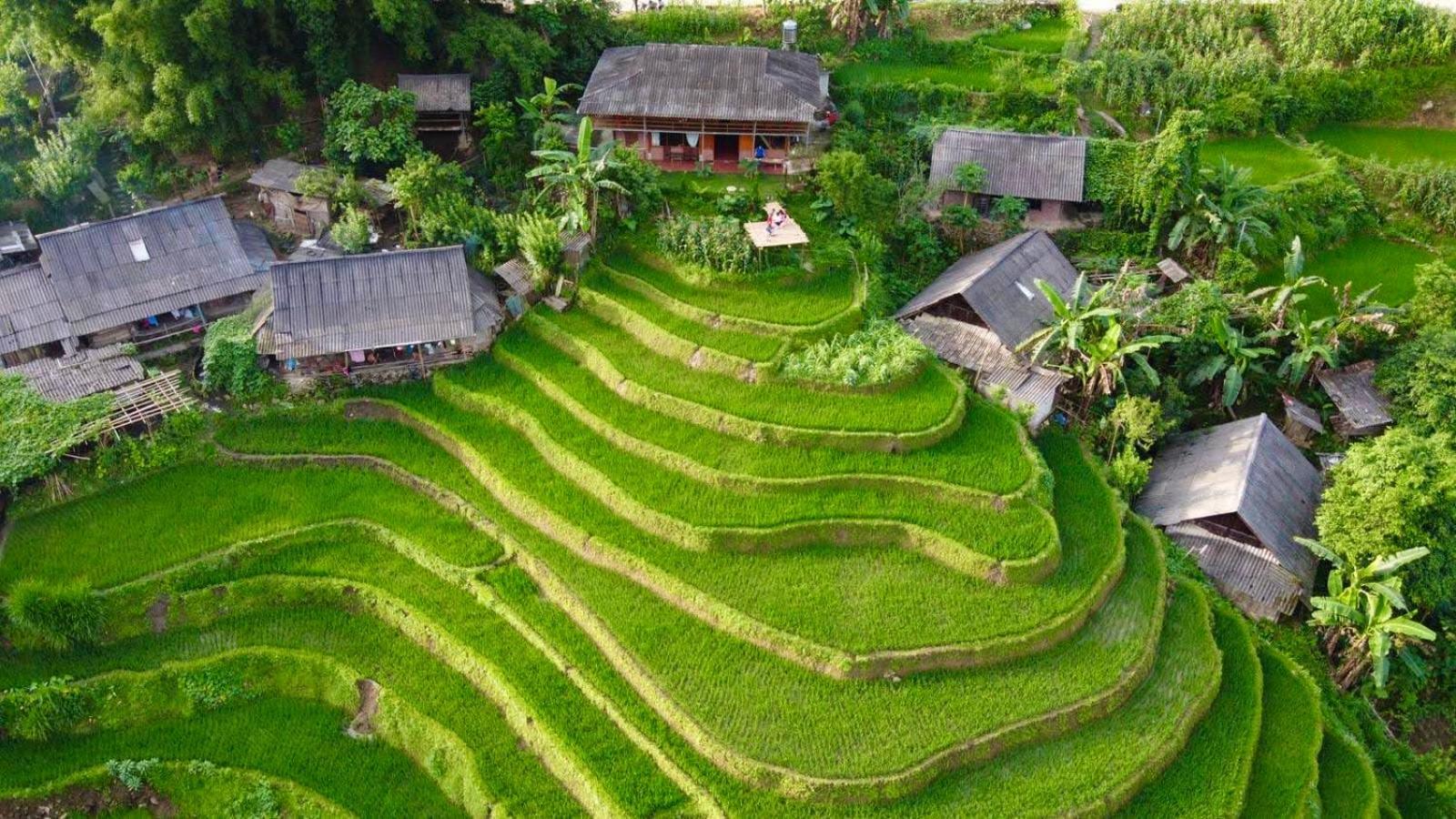 My'S Homestay Sapa Экстерьер фото