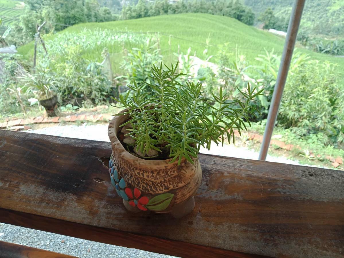 My'S Homestay Sapa Экстерьер фото