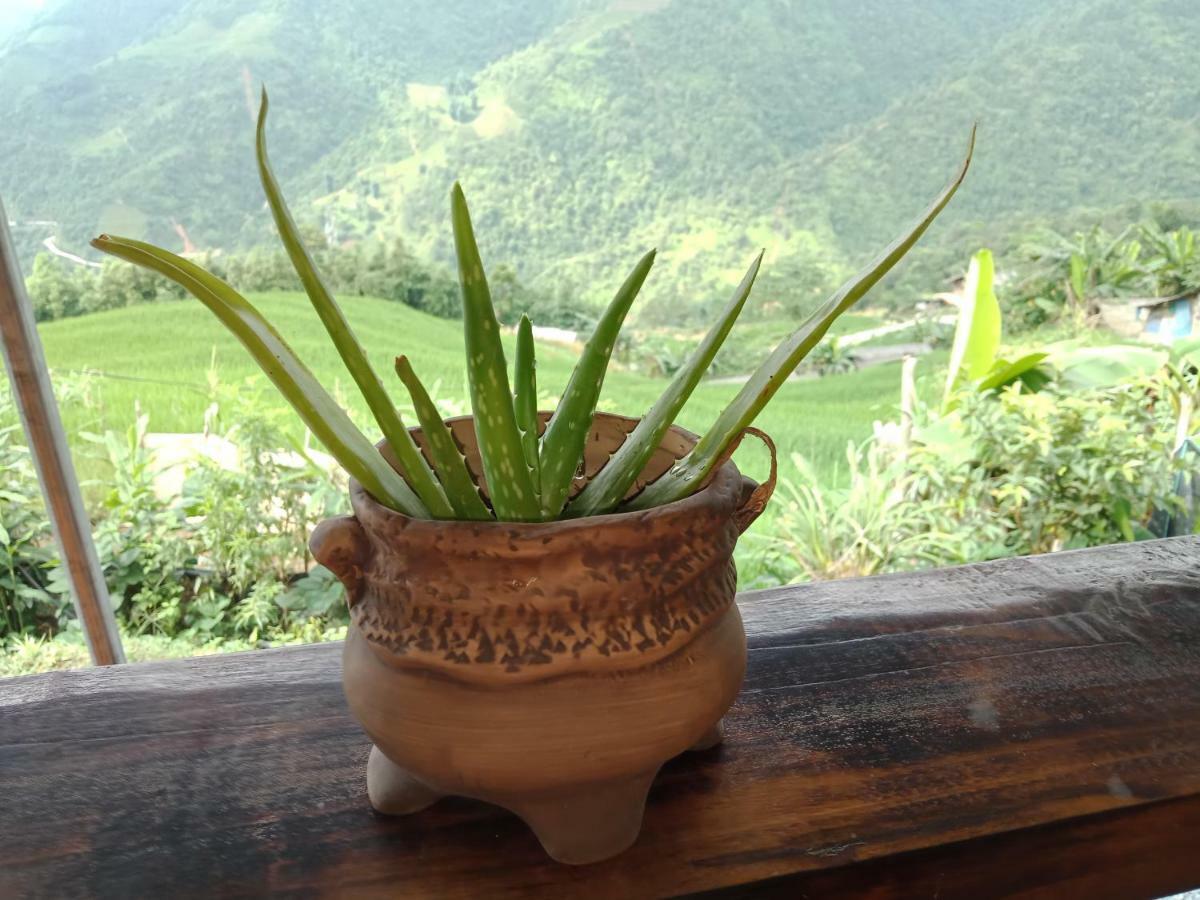 My'S Homestay Sapa Экстерьер фото